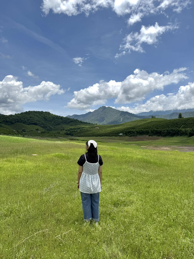 เขื่่อนบ้านลาน จ.เชียงใหม่ ⛰️🌳🌦️🐄