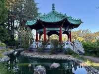 Golden Gate Park