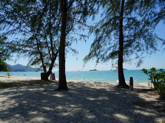 𝗪𝗔𝗥𝗜 𝗖𝗼𝗳𝗳𝗲𝗲 เกาะช้าง