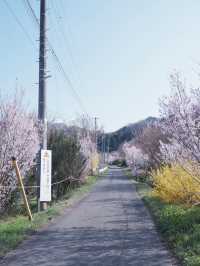 東京巴士遊東北：福島也有桃源鄉 