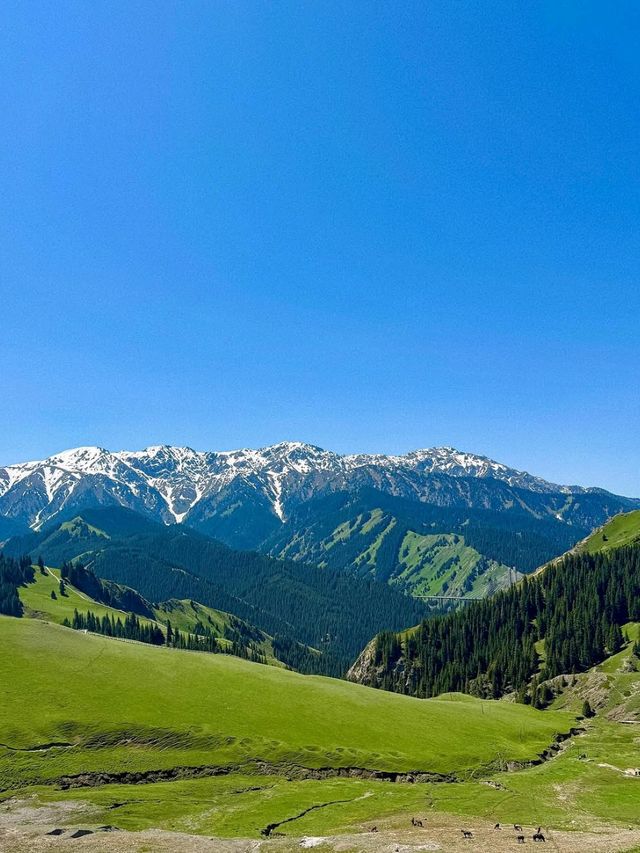Float Through the Mountains