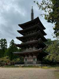 Chillin’ at Daigoji Temple