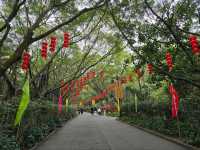 Peaceful Vibes and Cool History Hangout in Doumen