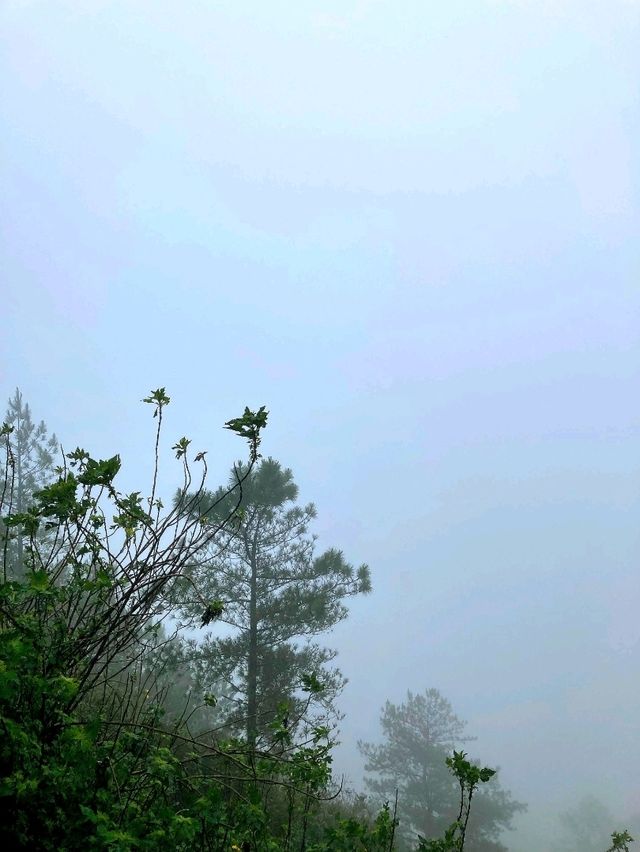 Discovering the Beauty of Sagada View Top