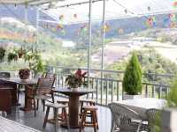 Hidden Gem in Cameron Highlands 🌿 | Sky Farm, Bertam Valley