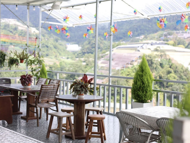 Hidden Gem in Cameron Highlands 🌿 | Sky Farm, Bertam Valley