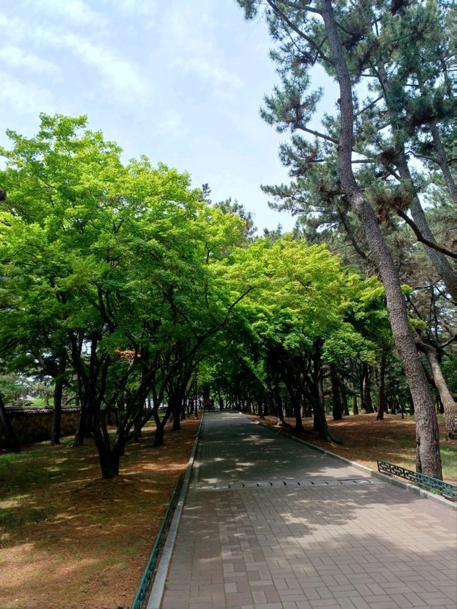고요한 고분길 따라 걷는 힐링 산책