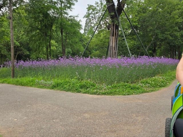 滿滿著田園味，幽雅恬靜，秀美如畫的烏村