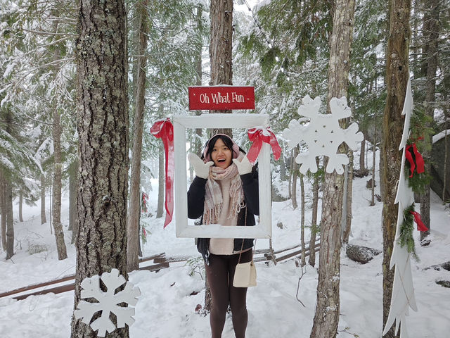 Gondola to the snow wonderland☃️🚠