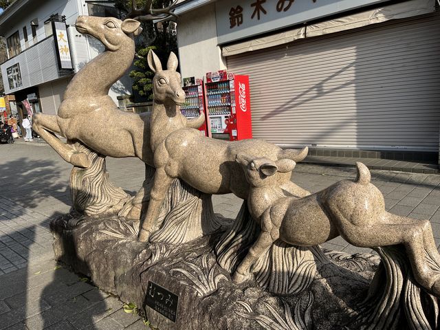 【神木與靈泉的庇佑】走進鹿島神宮—一場靜心與祝福的神域旅程
