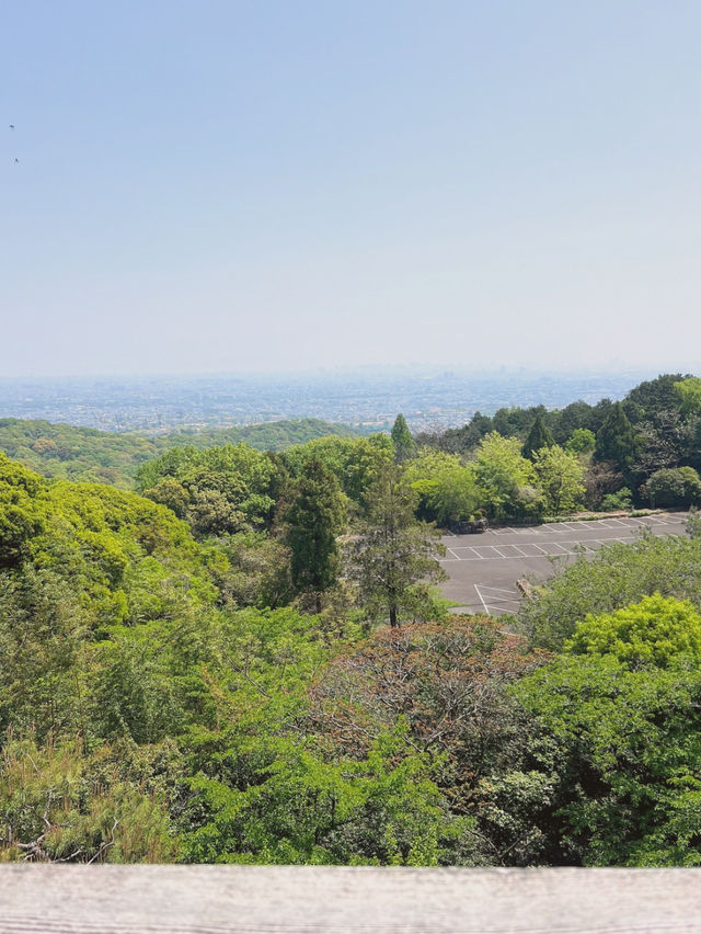 【兵庫/西宮】神を呪う寺…⛩️？！