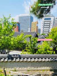 Namsangol Park: An Urban Oasis Beyond the Hanoks