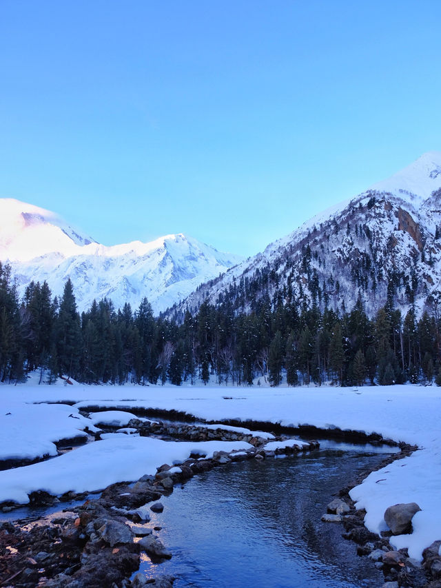 🏔️Fairy Meadows – Not Just a Name, But a Feeling
