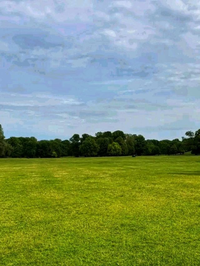 English Garden – Munich’s Green Heartbeat