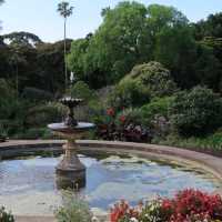 Sydney + | The Aussie Downton Abbey: Vaucluse House 🏰🌿