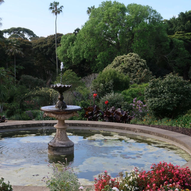 Sydney + | The Aussie Downton Abbey: Vaucluse House 🏰🌿