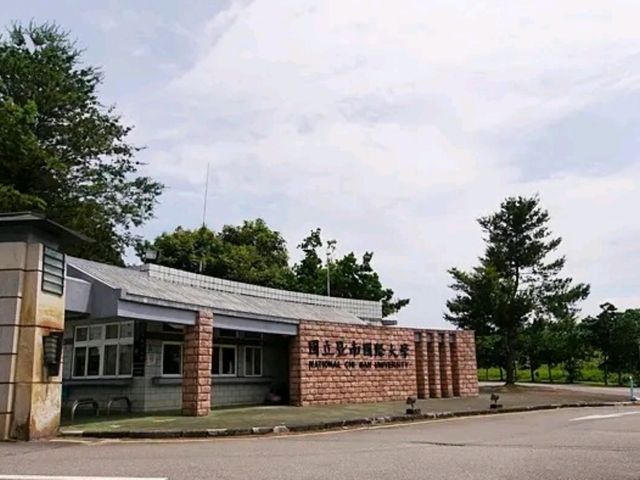 暨南校園內的步道上微風輕拂、櫻花隨風搖曳彷彿置身歐洲莊園般浪漫