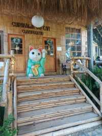 🍁ชิราคาวาโกะ คาเฟ่สไตล์ญี่ปุ่น