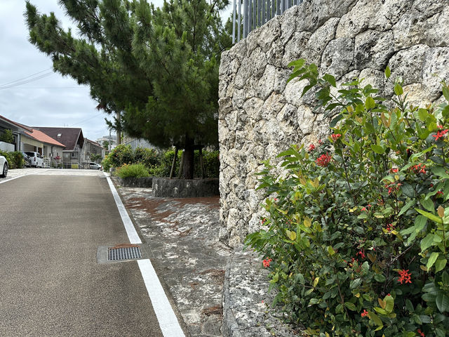 【首里金城町石畳道｜しゅりきんじょうちょう いしだたみみち】 琉球王国の歴史と風情が残る、首里城へと続く石畳の小道
