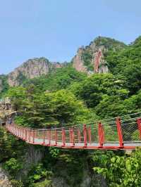 Suspension Bridges & Leg Day at Daedunsan