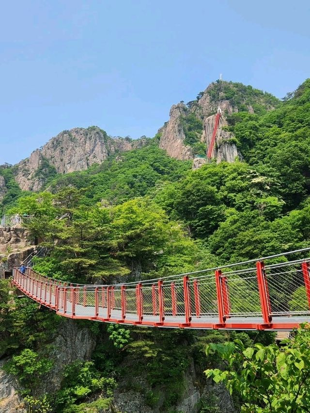 Suspension Bridges & Leg Day at Daedunsan