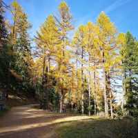 Saas-Fee: A Car-Free Alpine Paradise of Glaciers, Peaks & Swiss Charm