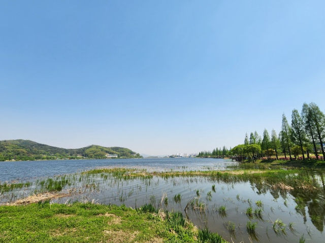 아산 신정호