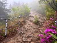 Misty Mountain Magic at Wolchulsan
