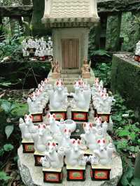 【鎌倉　佐助稲荷神社から源氏山へのライトトレッキング】