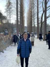 南怡島冬日戀歌：雪白世界裡的浪漫漫遊