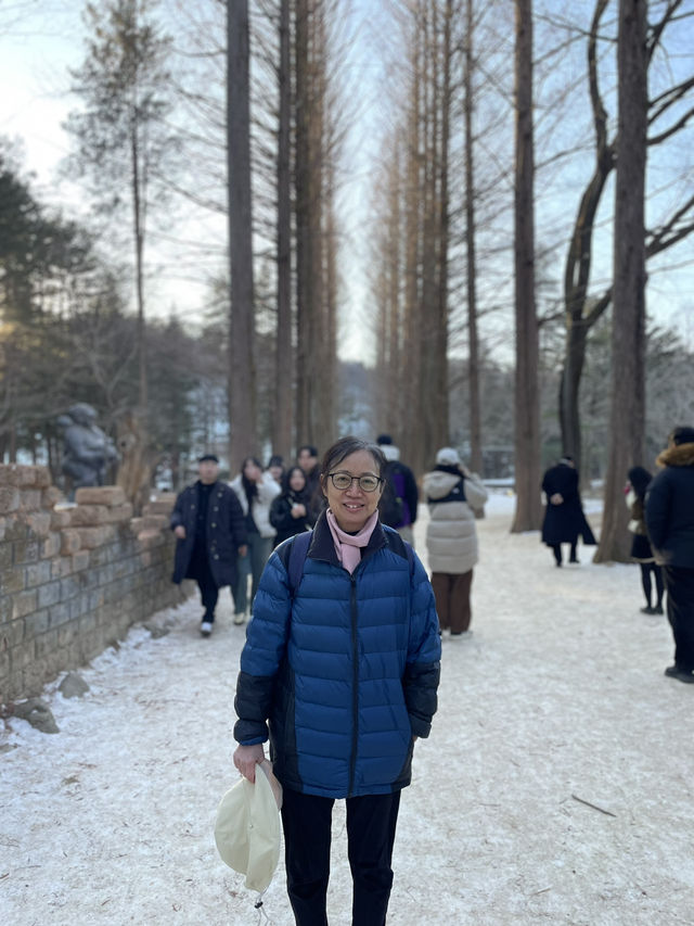 南怡島冬日戀歌：雪白世界裡的浪漫漫遊