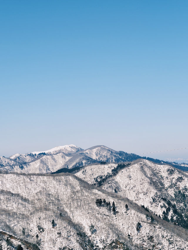 能夠吃到日本三大和牛之一近江牛的滑雪場！