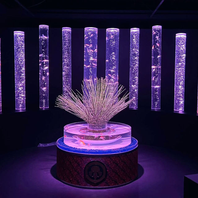 Swimming in Light: Tokyo’s Mesmerizing Art Aquarium in Ginza 🇯🇵