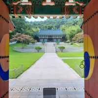 Anyang Adventures