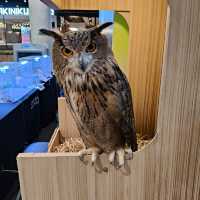 พามาชมงาน Westville Bird Paradise 