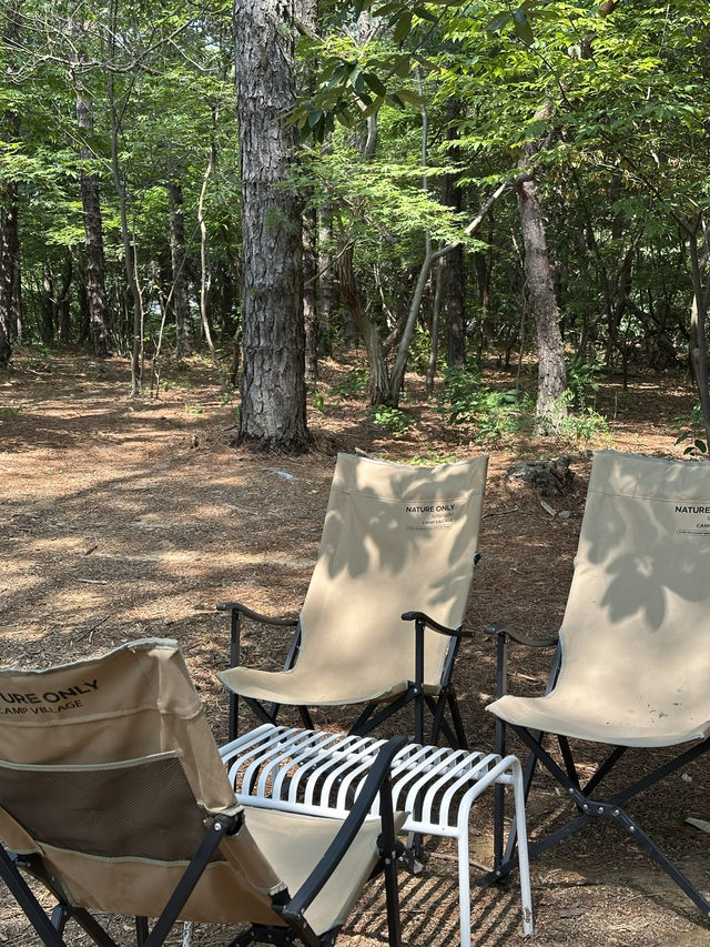 🌿 브리프 저니: 자연 속 휴식과 문화🌳