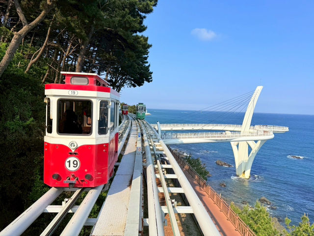 韓國🇰🇷 - 釜山海雲台天空膠囊列車