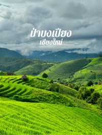 ป่าบงเปียงในฤดูฝน เขียวชุ่มฉ่ำสุดๆ 💚⛰️