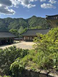 고즈넉한 강원도 홍천의 🏝️깨끗한 대자연을 느끼기에 좋은 사찰여행 추천여행지💚