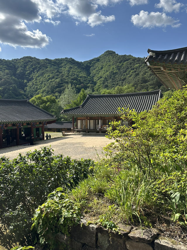 고즈넉한 강원도 홍천의 🏝️깨끗한 대자연을 느끼기에 좋은 사찰여행 추천여행지💚