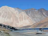 Srinagar - Ladakah - Khardungla -Nubra -Pangong 
