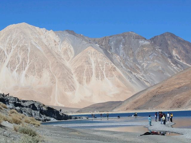 Srinagar - Ladakah - Khardungla -Nubra -Pangong 