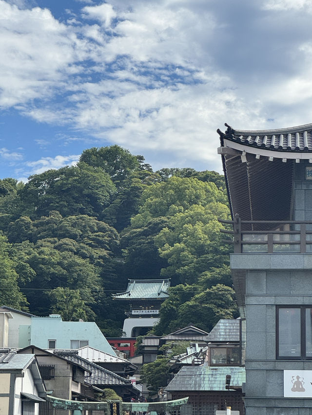 에노시마 여행기 여행코스 추천🍣🎎🎏🏯