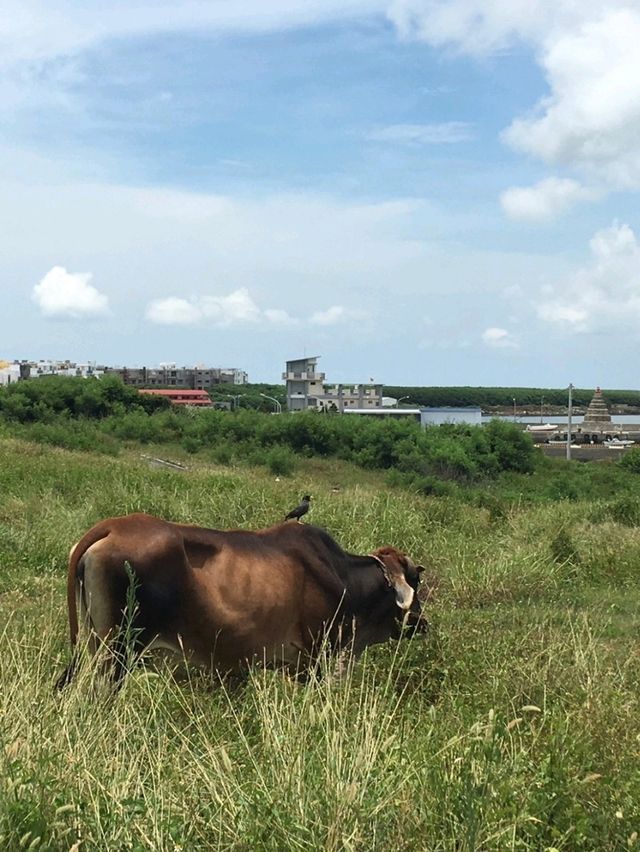 🏝️別懷疑！這麼美的地方就在台灣~ 無需出國 「澎湖篇」