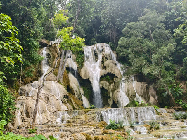 🌿💦 Laos: Discovering Southeast Asia's "Mini Jiuzhaigou" at Kuang Si Falls!