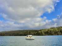 Still waters and slow moments: a gentle walk through Dunalley’s foreshore