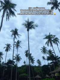 ที่พักเงียบ สงบ เหมาะแก่การพักผ่อนต้องที่นี่เลย⭐️