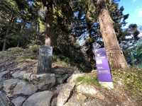 🍀 Review: Strolling Through History at Aobayama Park