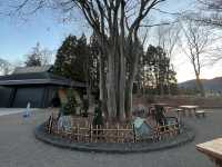 🚗 Akagi Kogen Service Area (Up) – A Top-Tier Highway Stop!