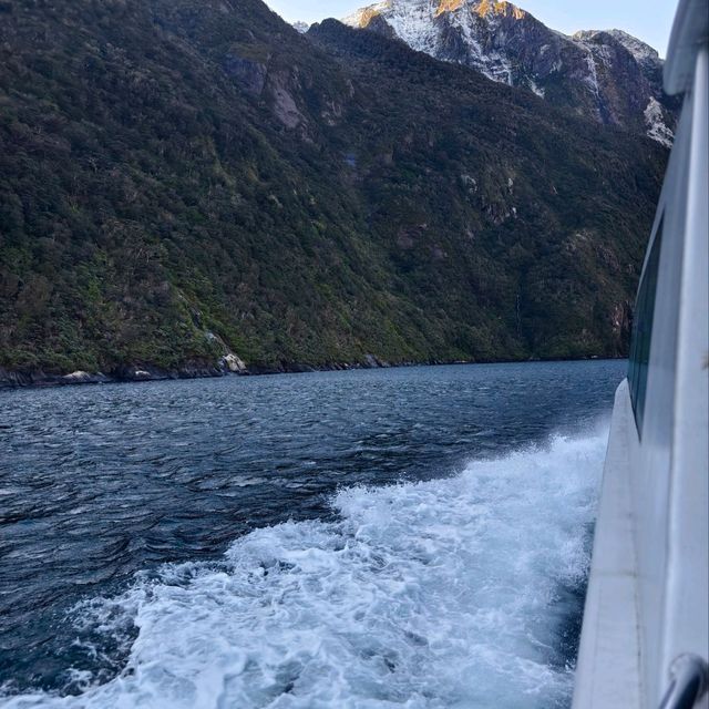 Magical Journey to Milford Sound: A Scenic Adventure You’ll Never Forget
